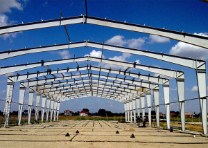 structuri-metalice-industrial-and-storage-structures-hala-d7